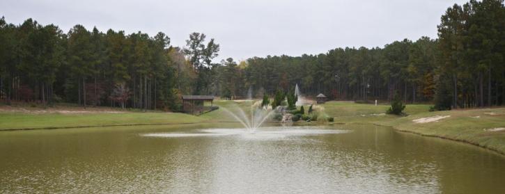 Image for Cottages at Carriage Glen, an Epcon Community with ID of: 3721648