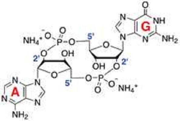 Image for cgamp synthase with ID of: 3721816