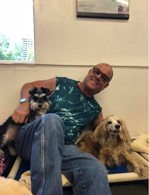 Image for Waggle Bros Pet Resort & Spa with ID of: 3722120
