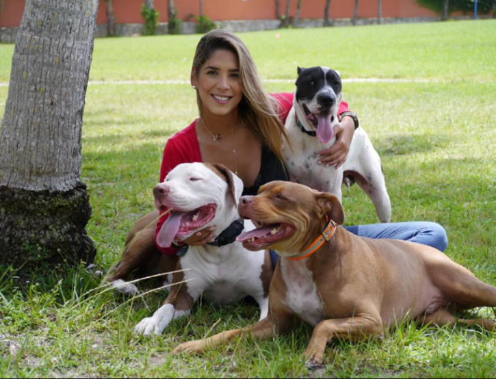 Image for Waggle Bros Pet Resort & Spa with ID of: 3722128