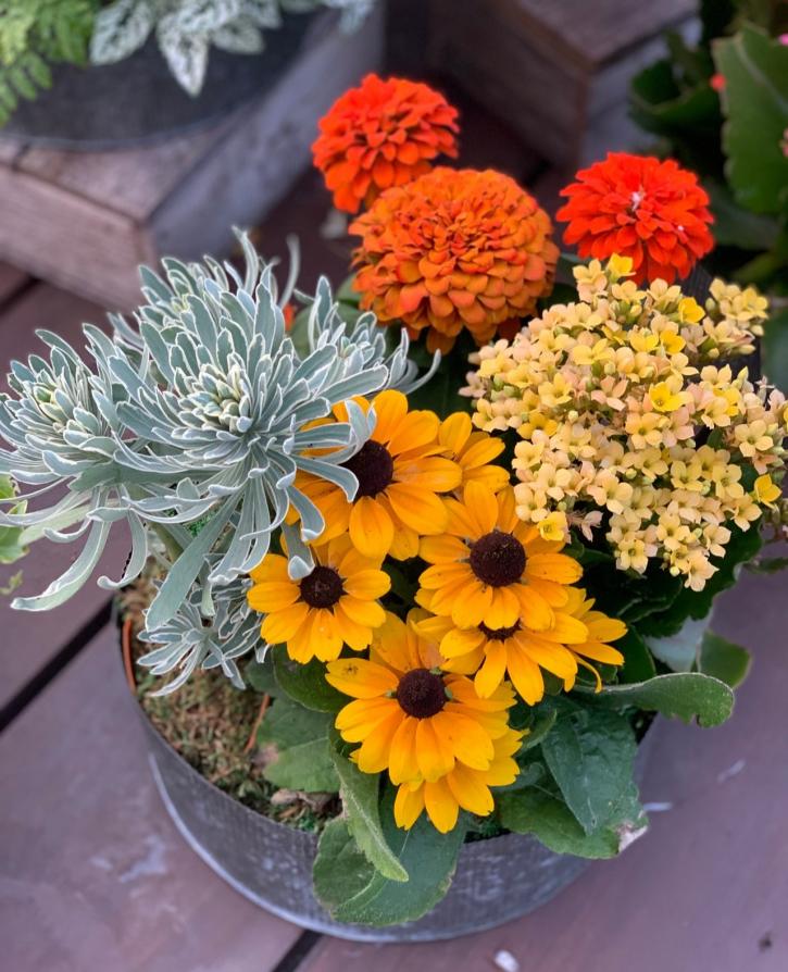 Image for Sunnyside Gardens with ID of: 3722282