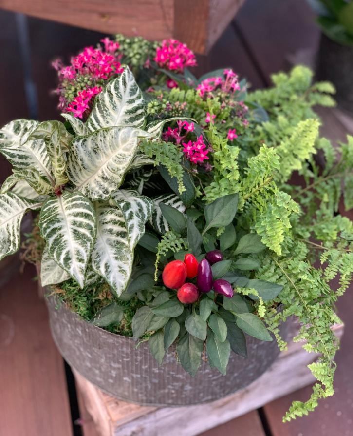 Image for Sunnyside Gardens with ID of: 3722287