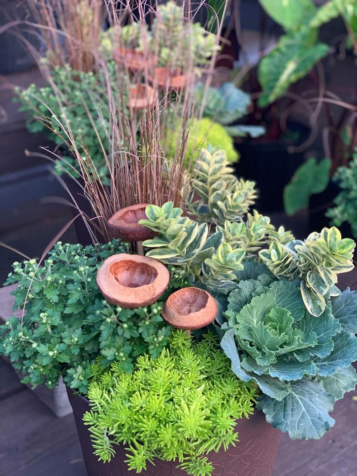 Image for Sunnyside Gardens with ID of: 3722294
