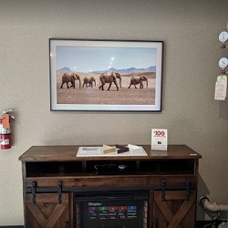 Image for The Big Screen Store with ID of: 3722481