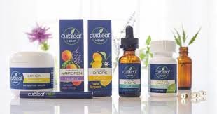 Image for Curaleaf ME Auburn with ID of: 3722891