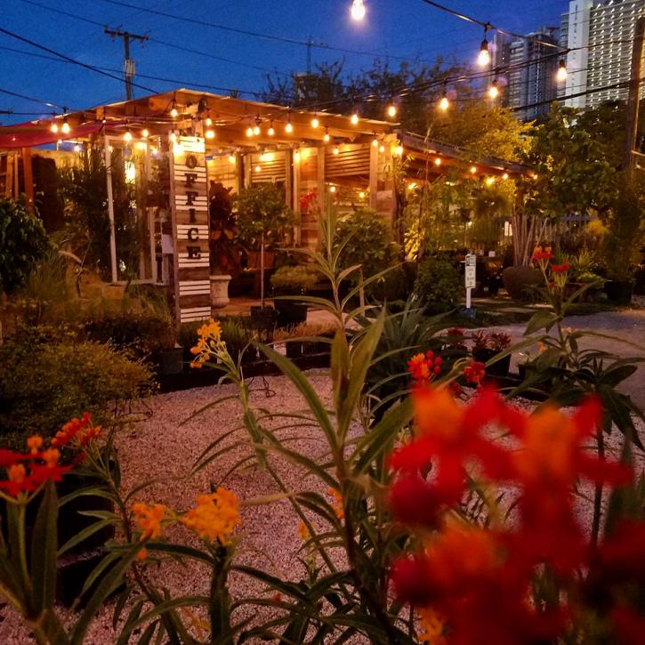 Image for Midtown Garden Center with ID of: 3722999