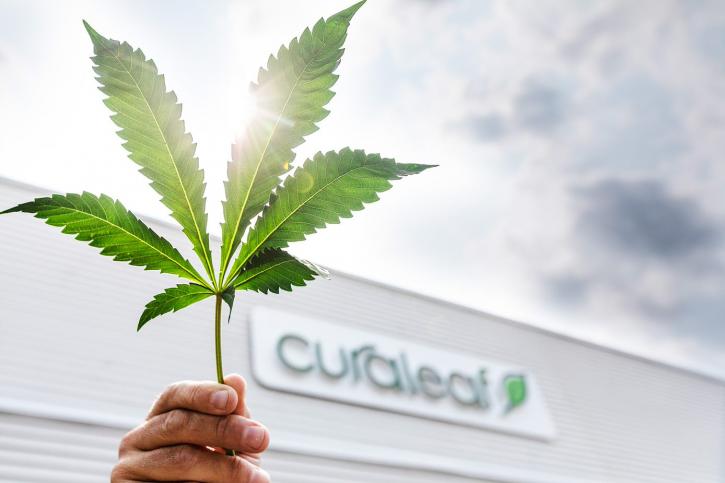 Image for Curaleaf ME Auburn with ID of: 3723013
