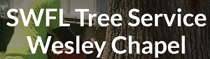 Image for SWFL Tree Service Wesley Chapel with ID of: 3726193