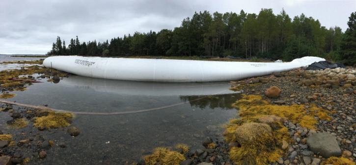Image for Dam-It-Dams with ID of: 3726635