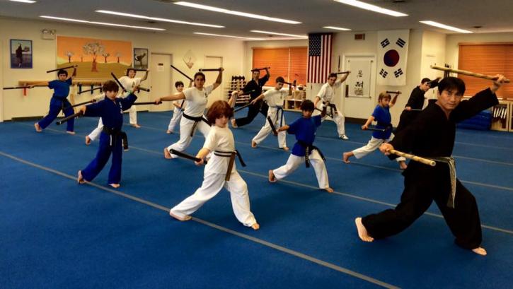 Image for Canadian Freestyle Karate and Martial Arts with ID of: 3727605