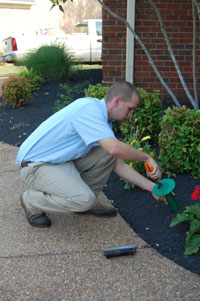 Image for North Mississippi Pest Control with ID of: 3727847