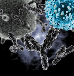 Image for Mogamulizumab with ID of: 3728223