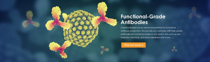 Image for Efalizumab with ID of: 3728227