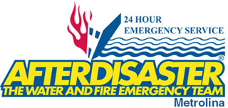 Image for AFTERDISASTER Metrolina with ID of: 3728237
