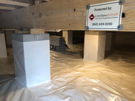 Image for Crawl Space Ninja with ID of: 3728520