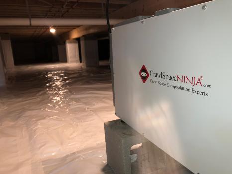 Image for Crawl Space Ninja with ID of: 3728521