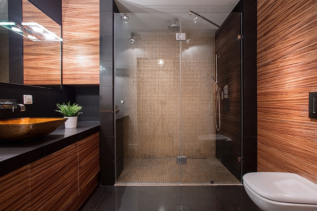 Image for Bathroom Remodel San Francisco with ID of: 3729659