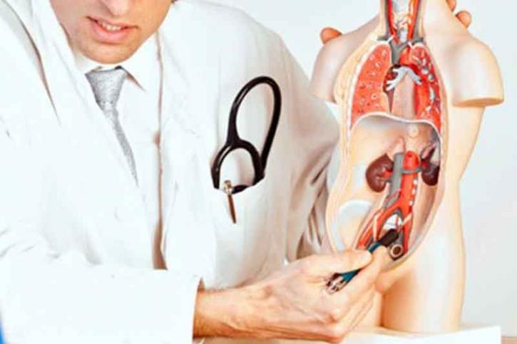 Image for Urologist in Bangalore with ID of: 3731487
