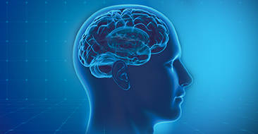 Image for Hearing Health Care with ID of: 3732462