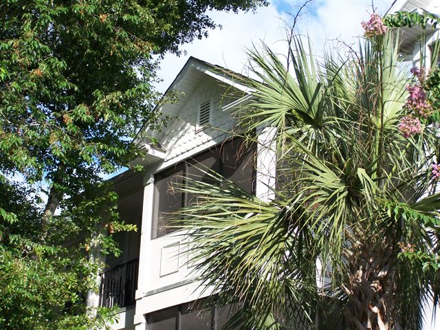 Image for Charleston SC - Luxury Condo - with ID of: 373645