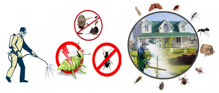 Image for Pest Control Melbourne with ID of: 3736687