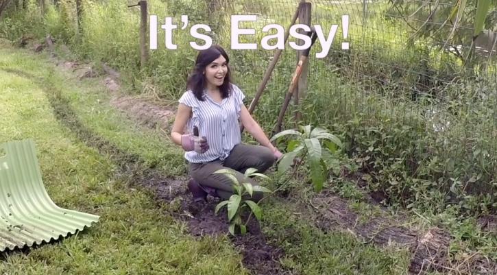 Image for Lawnsaver with ID of: 3739636