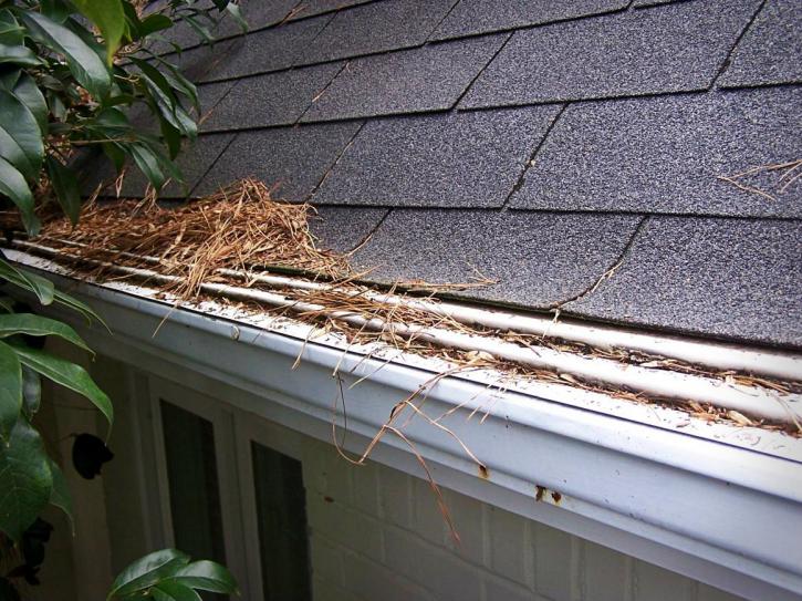 Image for Gutter Guards with ID of: 3739993