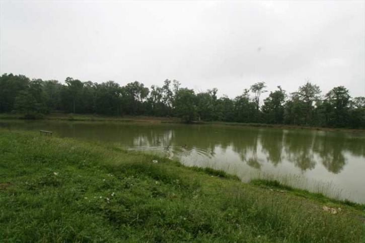 Image for SNOW'S LAKE is Open Again for Fishing in Colerain Township with ID of: 374096