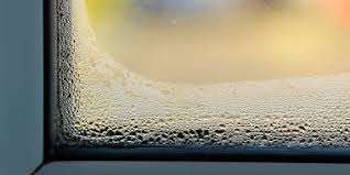 Image for United Windows Pro LLC with ID of: 3741720