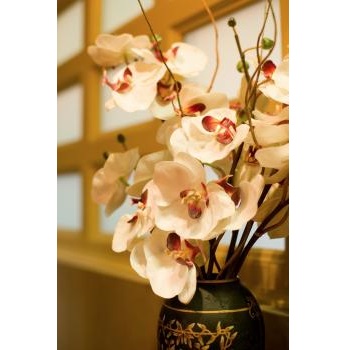 Image for Sutra Dental Spa with ID of: 3742501