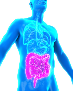 Image for Get Comprehensive Digestive Stool Analysis Test- EBL Naturopathic Clinic with ID of: 3743373