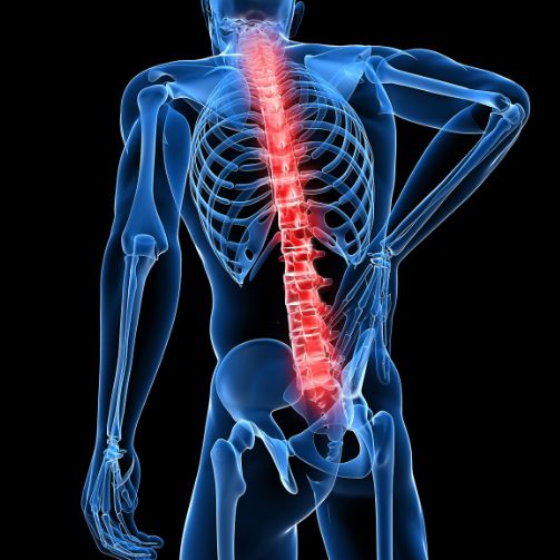 Image for Dr. David L. Dahlhauser with ID of: 3744162