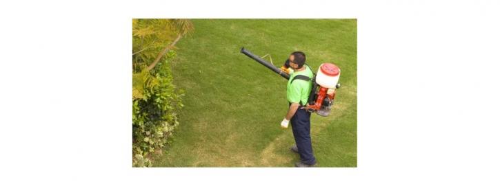 Image for Franklin Pest Control with ID of: 3747518