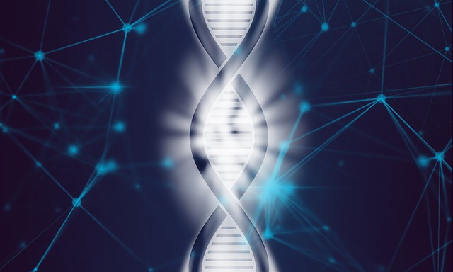 Image for Next Generation Sequencing (NGS) Market Research, 2019 to 2025 with ID of: 3747639