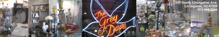 Image for The Grey Dove with ID of: 374775