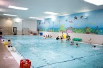 Image for AquaSafe Swim School with ID of: 3748191