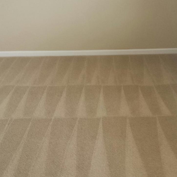 Image for Crystal Steem Carpet Cleaner with ID of: 3749218