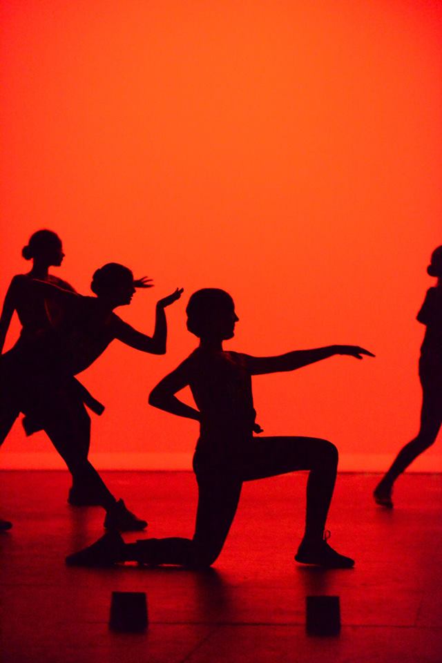Image for New Vision Dance Center with ID of: 3749419