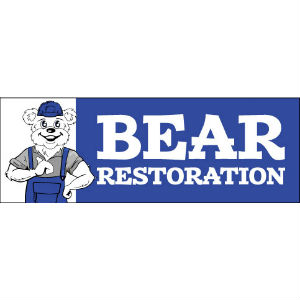 Image for Bear Restoration with ID of: 3749611