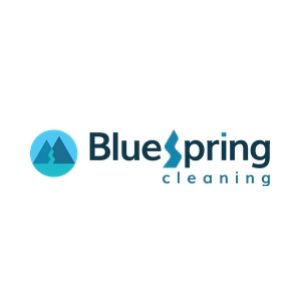 Image for BlueSpring Cleaning with ID of: 3749917
