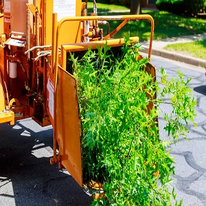 Image for Santa Clarita Tree Service with ID of: 3751702