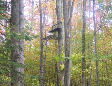 Image for 120 Acre Hunting Camp with ID of: 375190
