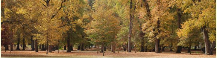 Image for Apartments Columbus GA with ID of: 3752461