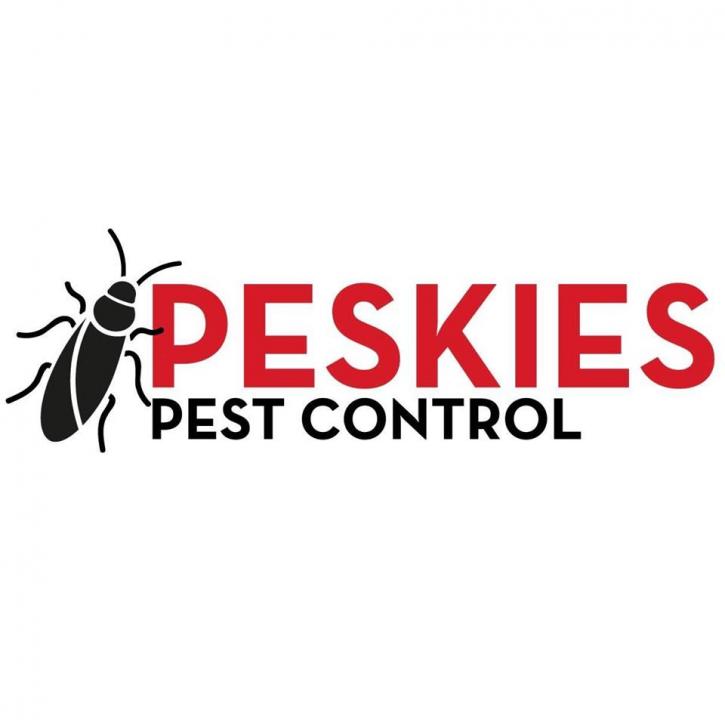 Image for Peskies Pest Control with ID of: 3752717