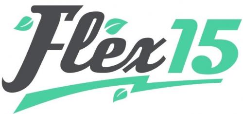 Image for Flex 15 with ID of: 3753838