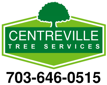 Image for Centreville Tree Services with ID of: 3753873