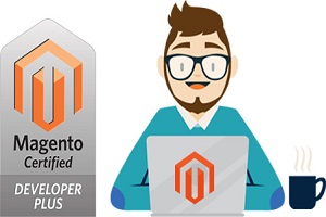 Image for Hire Magento developer on full or part time basis from TechIndia Software with ID of: 3754697