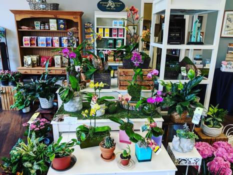 Image for Angelone's Florist with ID of: 3755997