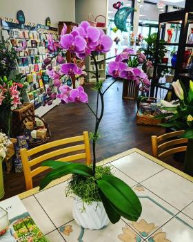 Image for Angelone's Florist with ID of: 3756008