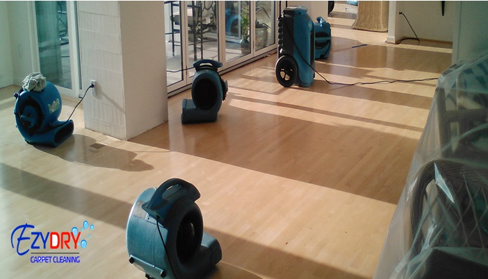 Image for Ezydry Carpet Cleaning with ID of: 3757286